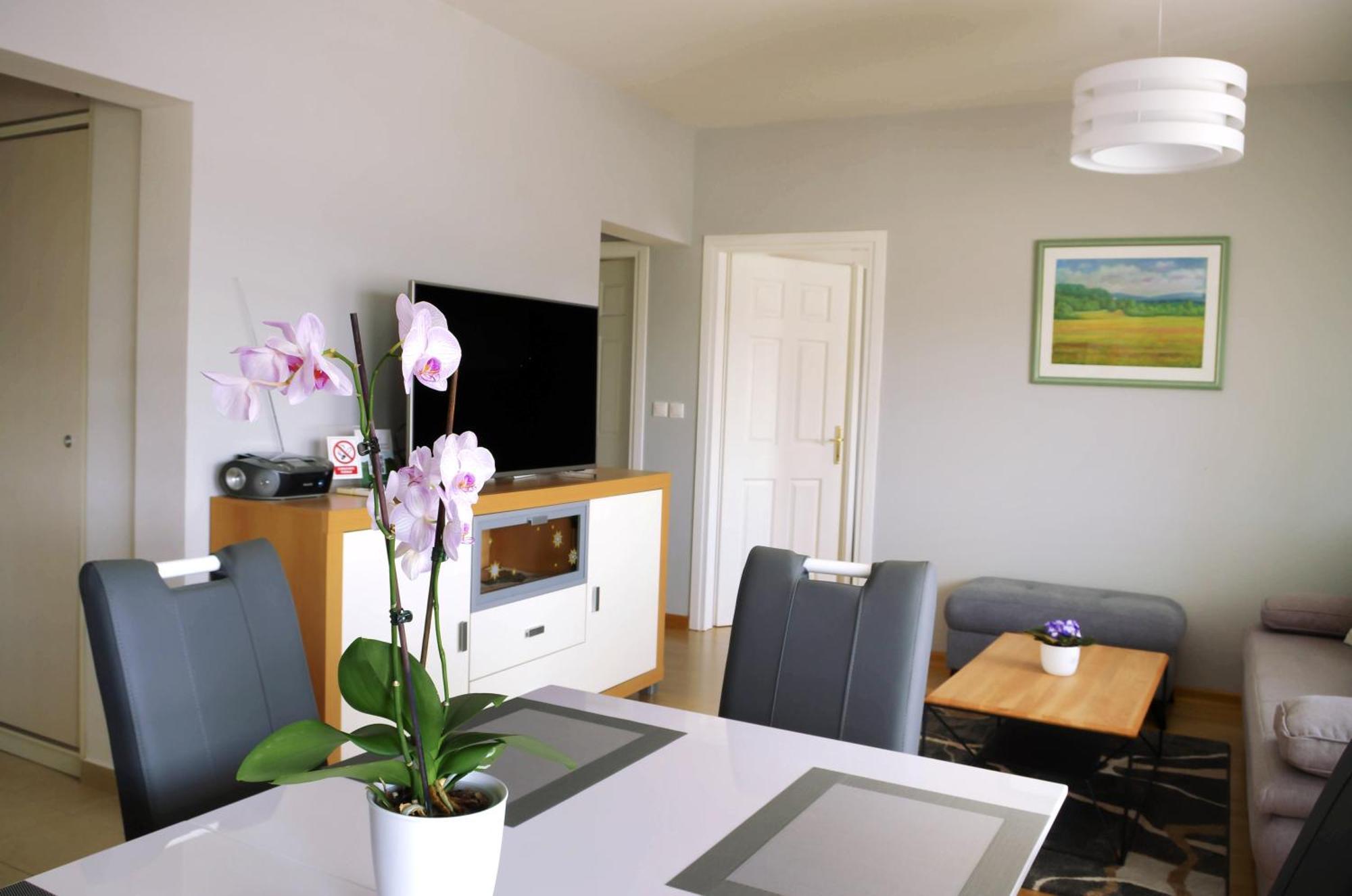Apartman Dada Krapinske Toplice Esterno foto